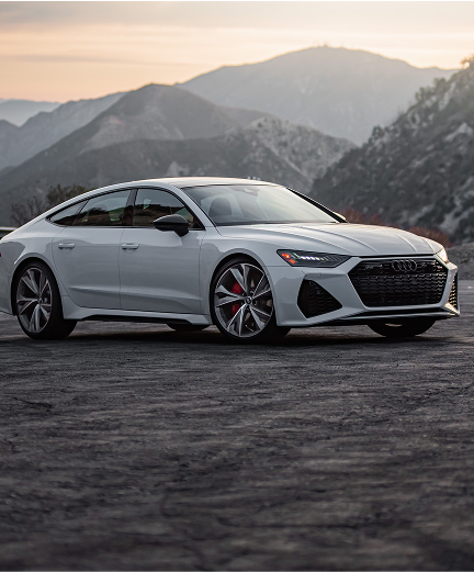 Эксперт на день